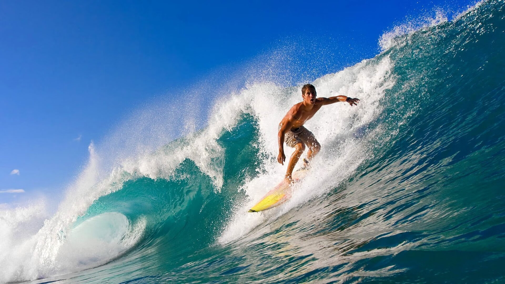 开云体育下载APP-大坂直美回归赛场，高光表现首场状态亮眼，雄鹿观众沸腾！